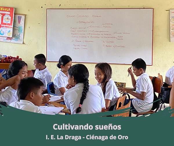 Equipo de la Fundación Un Amigo Más